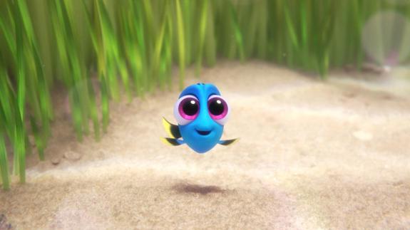 Vivir sin recuerdos, la realidad de la enfermedad de Dory
