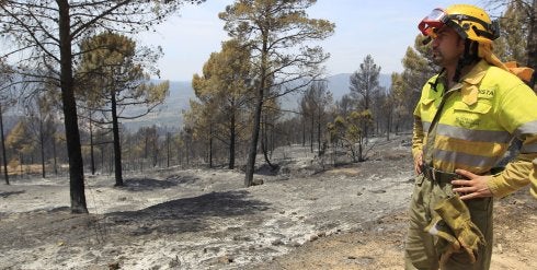 Un bombero observa una zona quemada. :: j. Monzó