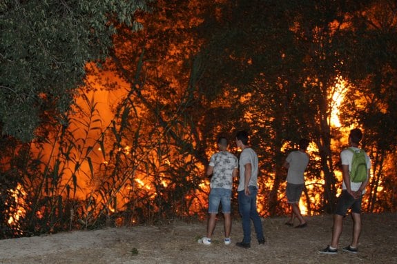 Uno de los incendios producidos estos días en Albaida. 