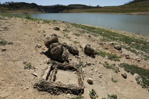 Cientos de ejemplares de mejillón cebra adheridos a enseres y rocas en el embalse de Forata, en una imagen reciente. 