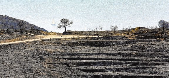 La zona afectada por el incendio de Xàbia junto al mar. :: tino calvo