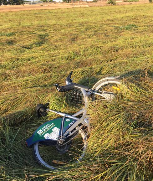 Una bicicleta de Valenbisi tirada en un campo de la huerta de Alboraia.