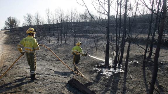 Dos brigadistas refrescando zonas humeantes del parque de la Granadella en el incendio forestal de Xàbia. 