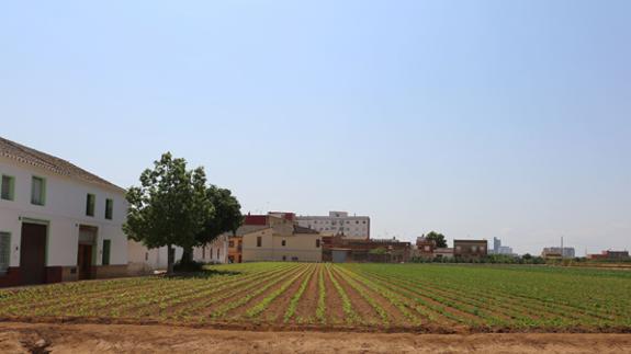 Huerta de Valencia.