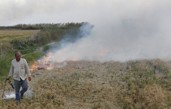 Un agricultor quema la paja del arroz, ayer en el lago. :: jesús signes