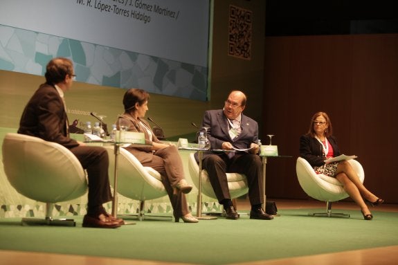 Las farmacias analizan su función