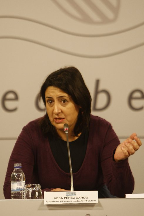 Rosa Pérez, diputada provincial de Esquerra Unida. :: LP
