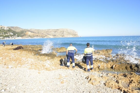 Los operarios de Cespa retiran, de forma manual, las toallitas de la costa de Xàbia. :: LP