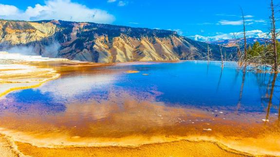 Parque de Yellowstone.