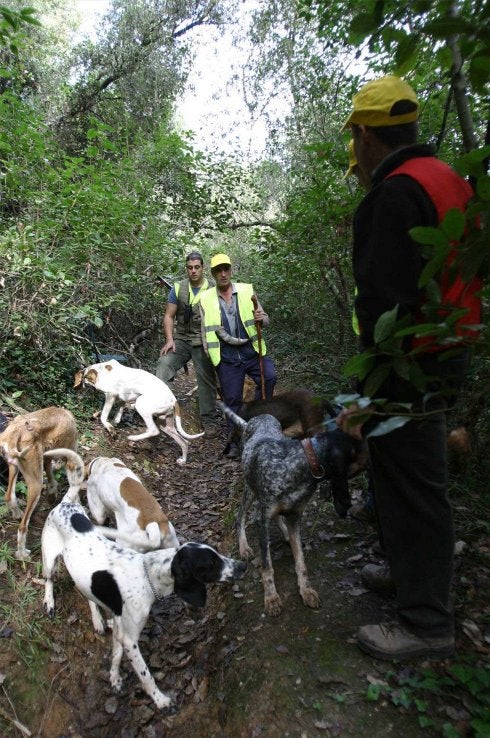 Un grupo de cazadores peina el monte junto a sus perros. :: lp