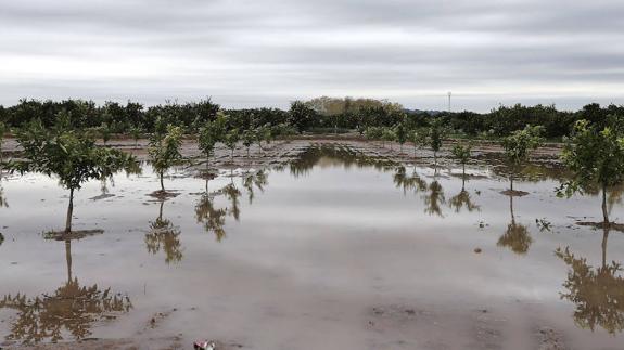 El Consell evaluará los daños cuando acaben las lluvias y fijará ayudas