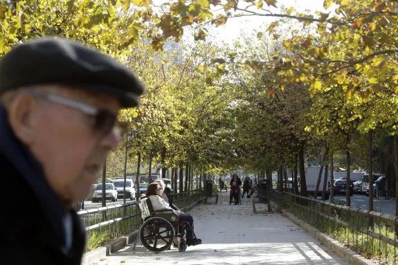 Un grupo de mayores pasea o descansa por un parque de Valencia. 