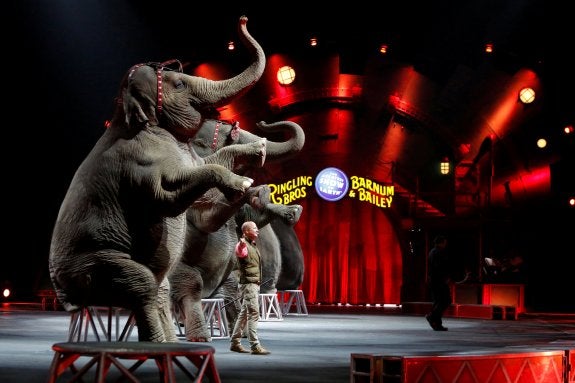 Número con elefantes, protagonistas principales de los espectáculos del Circo Ringling desde hace un siglo. Arriba, payasos cariacontecidos. :: r. c.