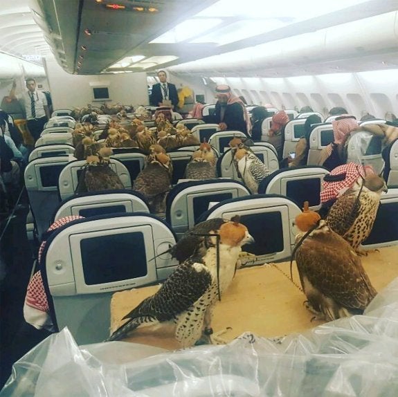 Un príncipe saudí compra 80 asientos en primera clase de un avión para sus 80 halcones
