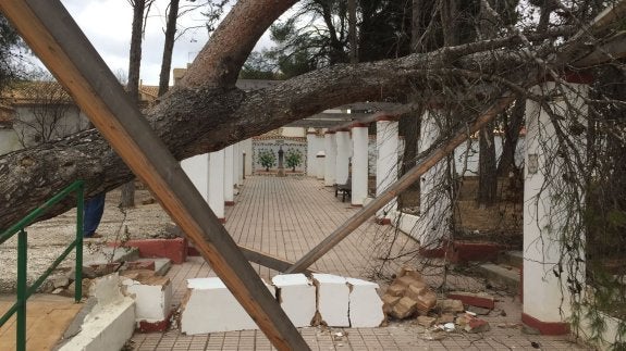 Un árbol se desplomó ayer en el parque de San Antonio, en Requena. :: lp