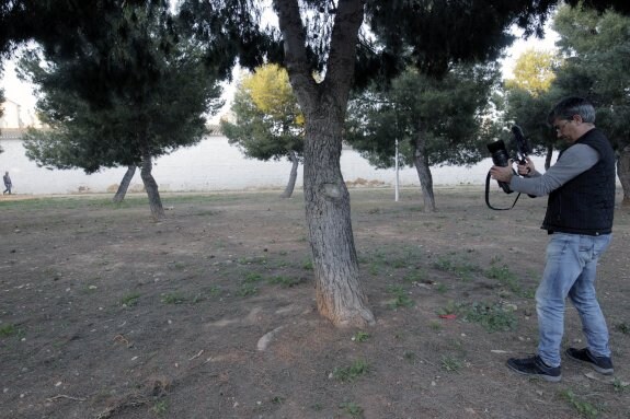 Un reportero gráfico junto al pino donde fue hallada la víctima. :: IRENE MARSILLA