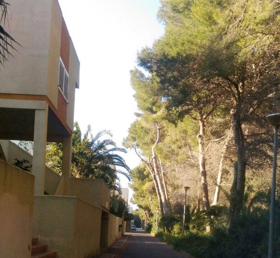 Viviendas en El Saler junto a la pinada, en una imagen de la asociación vecinal la Devesa. :: lp