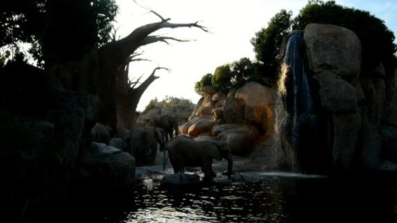 Atardeceres africanos en Valencia