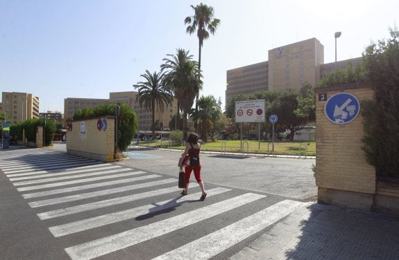 Una mujer camina por las inmediaciones de la antiga Fe, en la avenida de Campanar. :: j. monzo