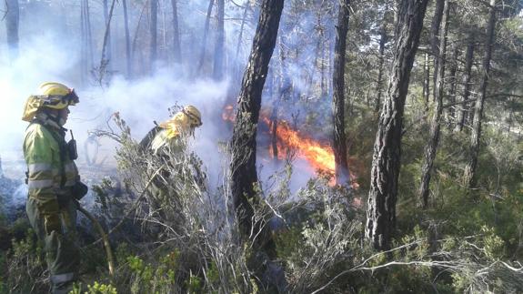Bomberos trabajando en la extinción del incendio forestal en Enguera.