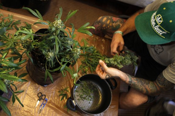 El Observatorio Europeo de Drogas dice que diez de cada cien españoles consumen cannabis. 