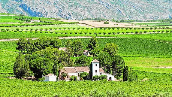 Paisaje de Terres dels Alforins.