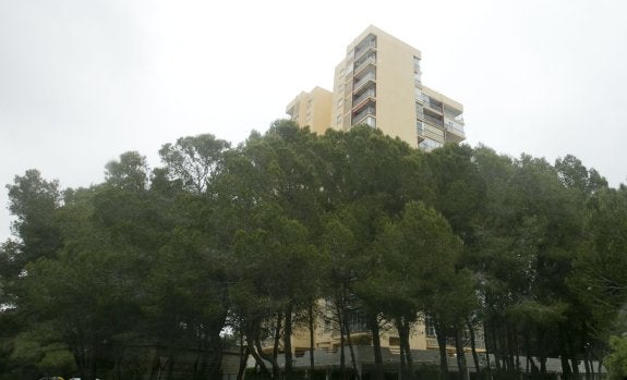 El bosque crece junto a una de las torres del parque natural, ayer. :: damián torres