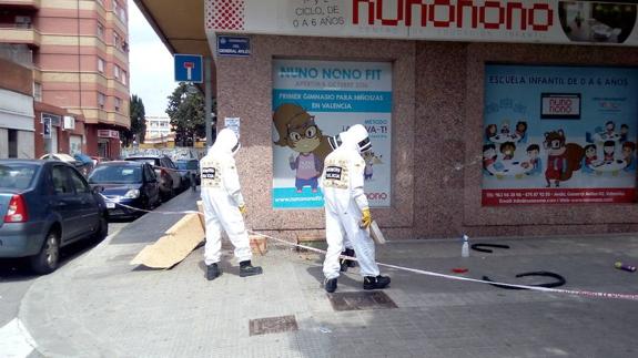 Los bomberos tratan de controlar una colmena de abejas junto a una guardería en Valencia