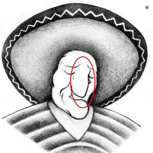 Solución | ¿Puedes ver a la mujer?