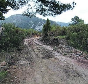 Pista en Llucena. ::
LP