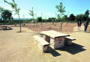 Vecinos de Algemesí limpian el paraje de la Xopera y el Magro