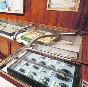 El Museo de Historia Natural cierra al público por falta de financiación