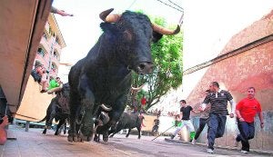 Un encierro taurino celebrado en una de las localidades de la provincia de Castellón. ::                             LP