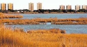 Sólo Alfafar apoya a Valencia para que la Albufera sea reserva de la biosfera