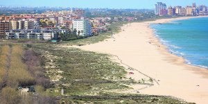 Gandia acota 350 metros en l'Ahuir para crear la primera playa para perros de la Comunitat