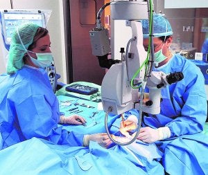 Casi 300 médicos valencianos quieren trabajar en el extranjero