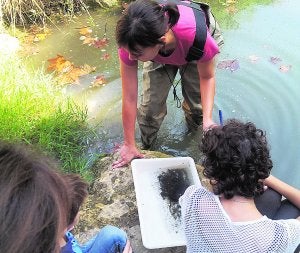 Alertan de contaminación por nitratos en el agua en el barranco del Galleg