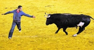 Un joven desafía al toro 'Ratón' durante un festejo en la plaza de toros de Valencia en agosto de 2011. ::                             DAMIÁN TORRES