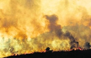 Un frente de llamas destroza a su paso una franja de pinada, ayer, en el incendio forestal que comenzó en Segorbe. ::                             DAMIÁN TORRES