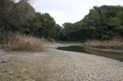 Tierra agrietada en la zona que antes ocupaba el humedal de la Vallesa, ahora prácticamente seco.