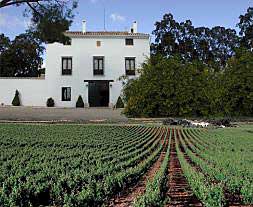 Finca Hoya de Cadenas, de Bodegas Gandía, en Utiel, con la casa solariega, al fondo, entre viñedos. Este es un claro ejemplo del concepto actual de los 'vinos de pago".