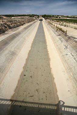 Canal de riego en la Vega Baja alimentado por el agua del Tajo-Segura.