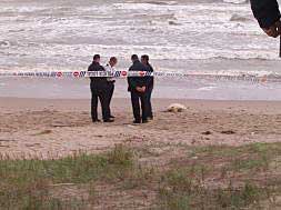 Hallan un cadáver descuartizado en Dénia