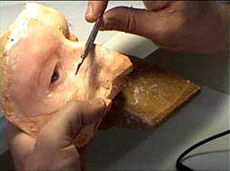 Parte frontal de un rostro.