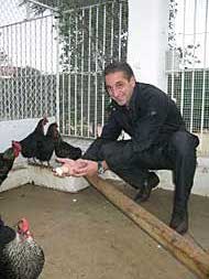 El edil Vicent Parra muestra un huevo de gallina de granja y otro de Chulilla.