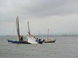 Exhibición de vela latina en la Albufera.