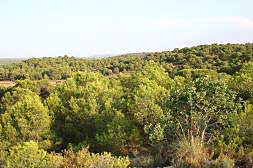 Vista del parte de la partida del Coto del Catalá, en una imagen facilitada por los demandantes.