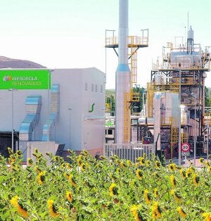 Planta de generación eléctrica con biomasa de Iberdrola Renovables en Corduente (Guadalajara).  / LP