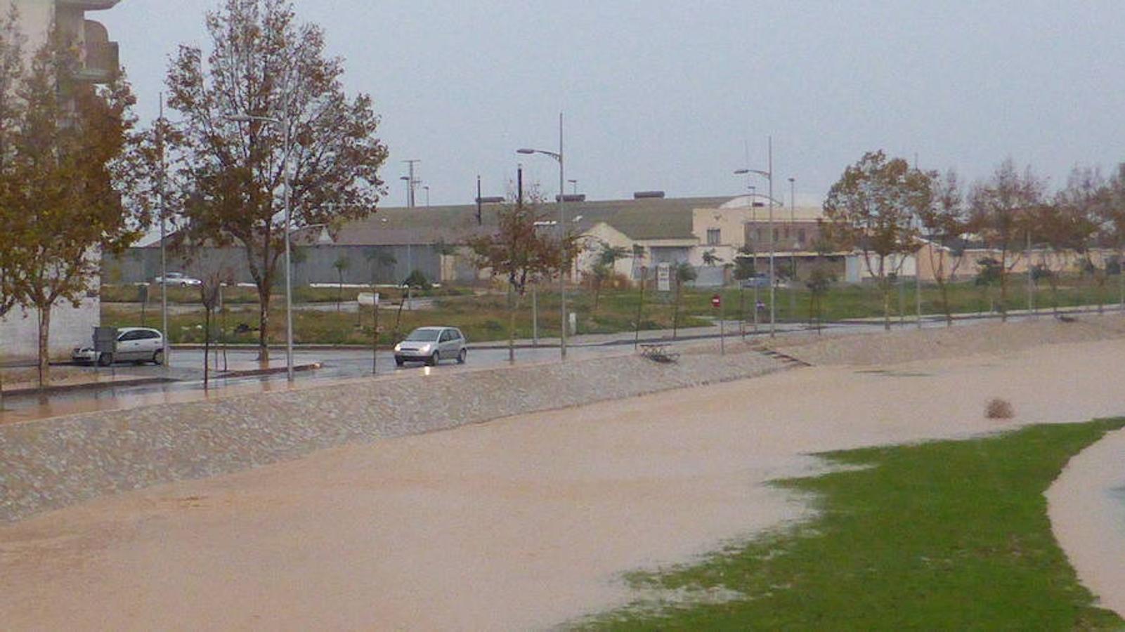 En Pilar de la Horadada la rambla ha canalizado parte del agua de lluvia caída en el campo, aunque la policía local ha tenido que cortar los accesos a barrios como la almazara y zonas como el campo de fútbol o torresegura.