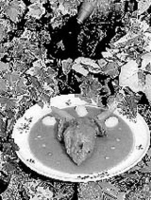 Acabado del plato / LV